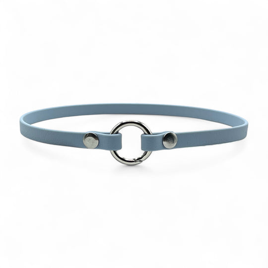 leichtes, schmales Hundehalsband, ideal für Hundemarken, handgefertigt aus robustem Biothane in hellblau