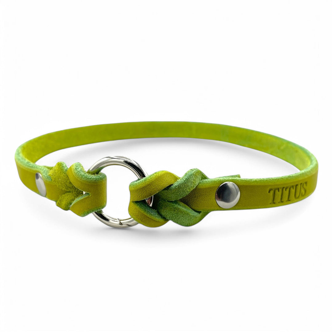 leichtes Hundehalsband, ideal für Hundemarken, handgefertigt aus robustem Leder in lime, personalisiert