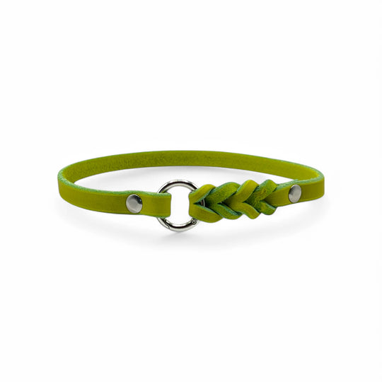 schmales Hundehalsband, ideal für Hundemarken, handgefertigt aus robustem Leder in lime, personalisierbar