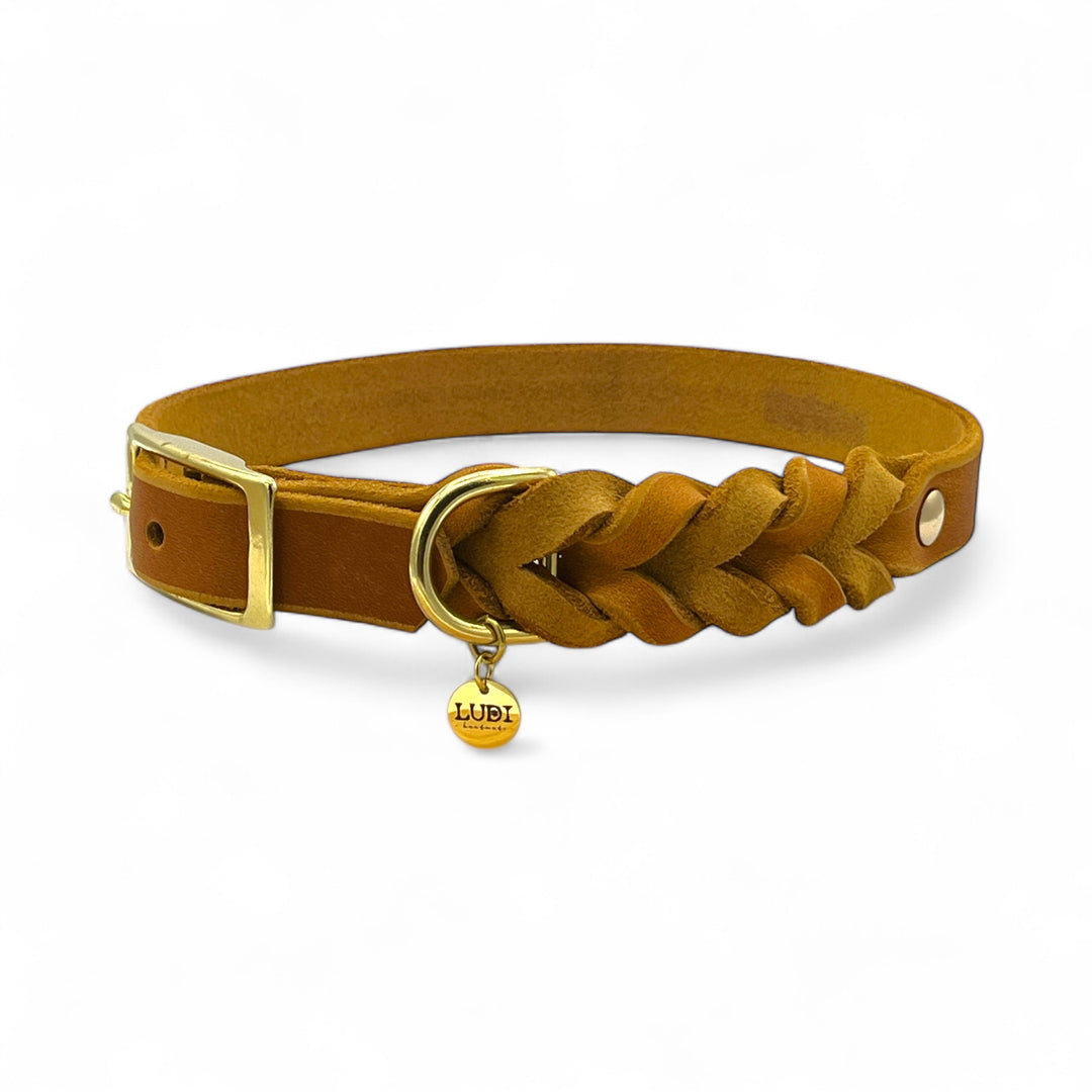 Leder Hundehalsband, ideal für kleine und große Hunde, geflochten und personalisiert, in cognac