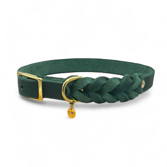 Leder Hundehalsband, ideal für kleine und große Hunde, geflochten und personalisiert, in grün