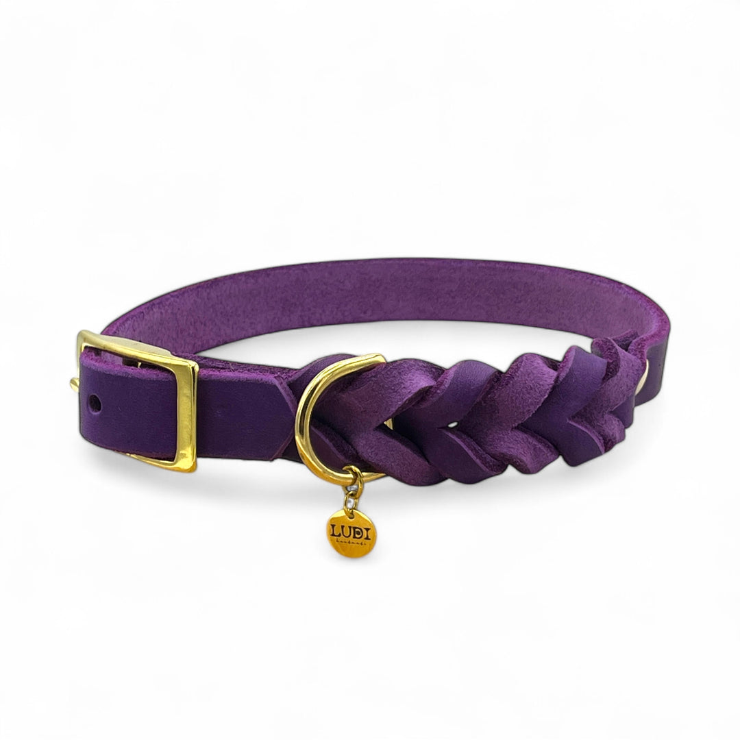 Leder Hundehalsband, ideal für kleine und große Hunde, geflochten und personalisiert, in lila