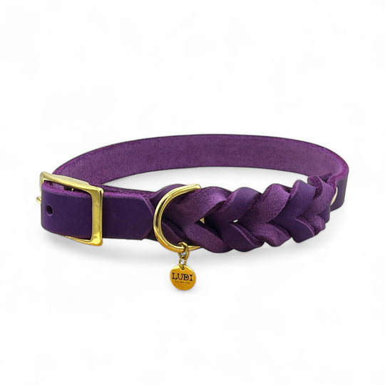Leder Hundehalsband, ideal für kleine und große Hunde, geflochten und personalisiert, in lila
