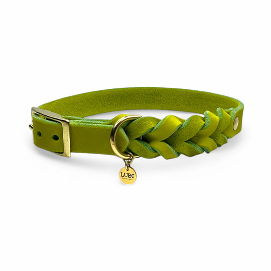 Leder Hundehalsband, ideal für kleine und große Hunde, geflochten und personalisiert, in lime