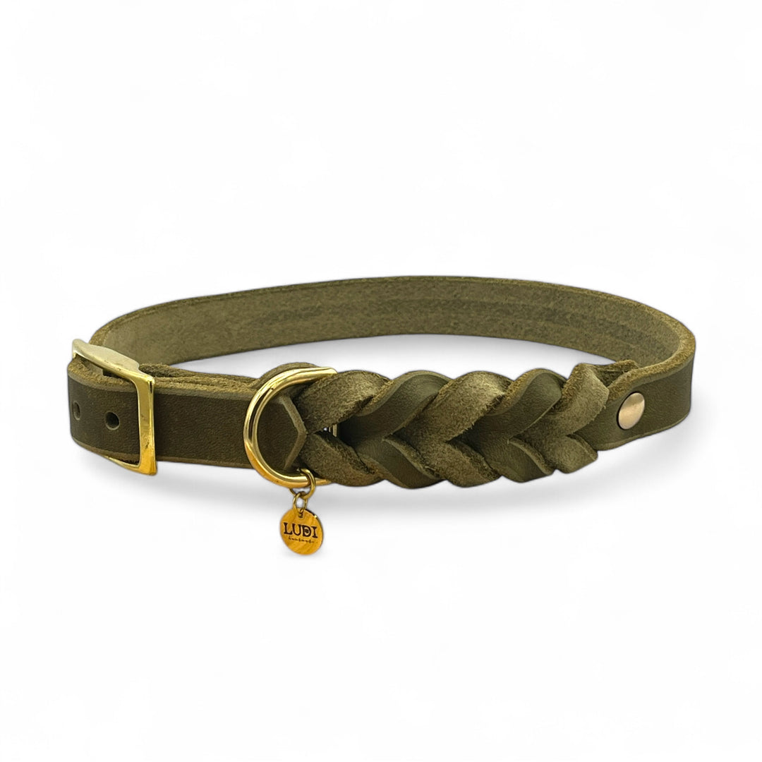 Leder Hundehalsband, ideal für kleine und große Hunde, geflochten und personalisiert, in oliv