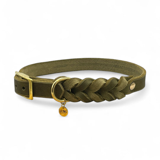 Leder Hundehalsband, ideal für kleine und große Hunde, geflochten und personalisiert, in oliv