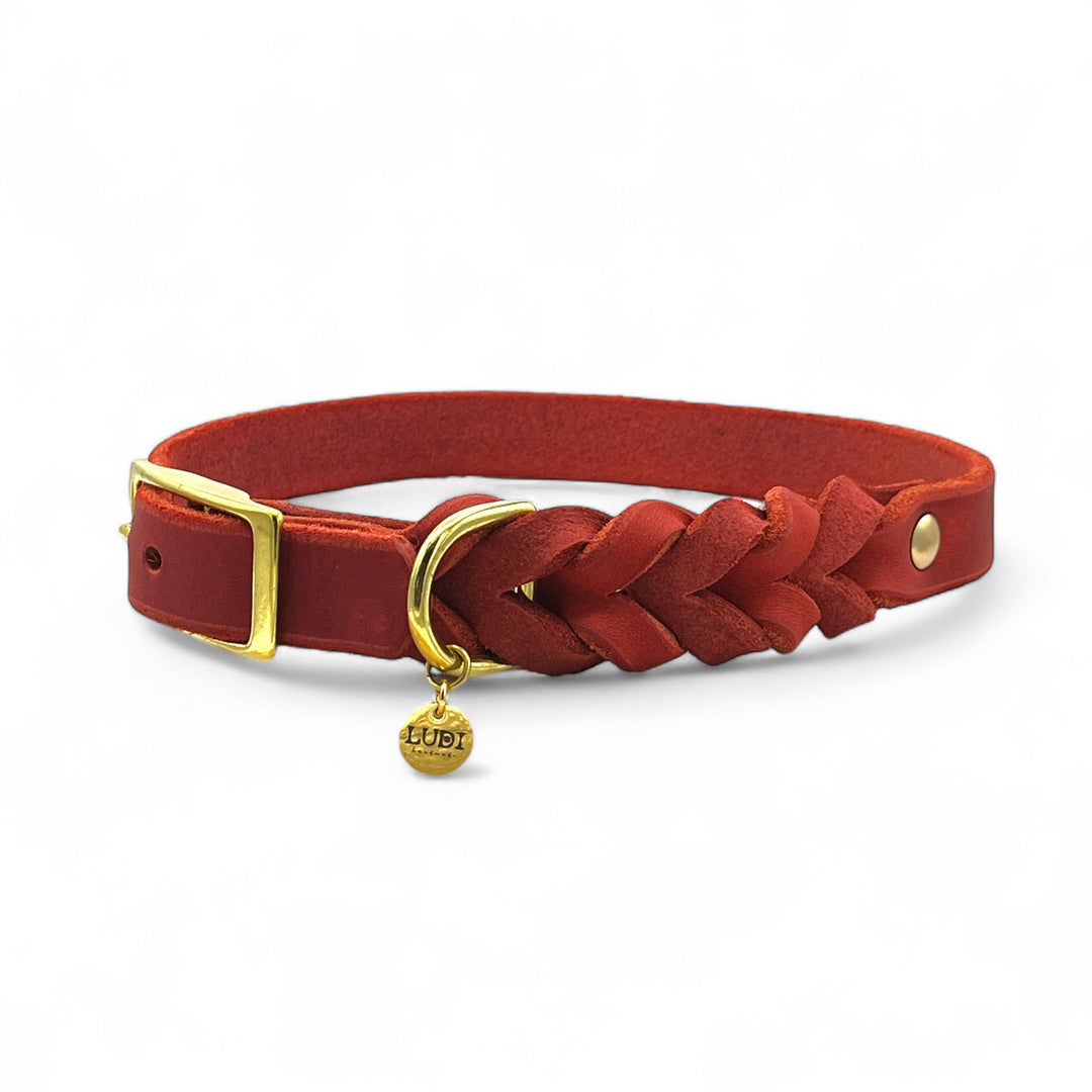 Leder Hundehalsband, ideal für kleine und große Hunde, geflochten und personalisiert, in rot