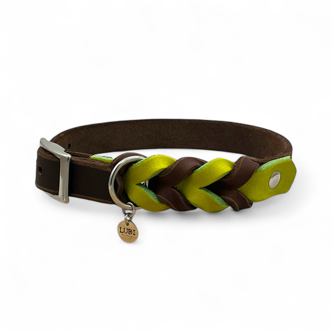 schönes und komfortables Halsband für Hunde in Leder, mit geflochtenem Detail, für jede Grösse, in Braun und Lime