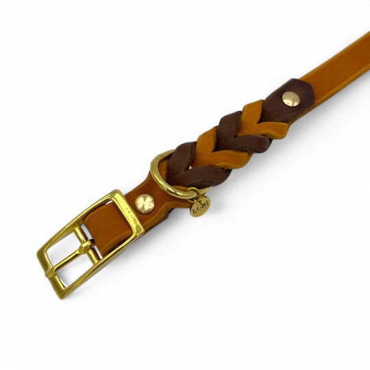 schönes und komfortables Halsband für Hunde in Leder, mit geflochtenem Detail, für jede Grösse, in Cognac und Braun, butterweich