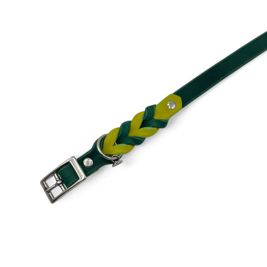 schönes und komfortables Halsband für Hunde in Leder, mit geflochtenem Detail, für jede Grösse, in grün und lime