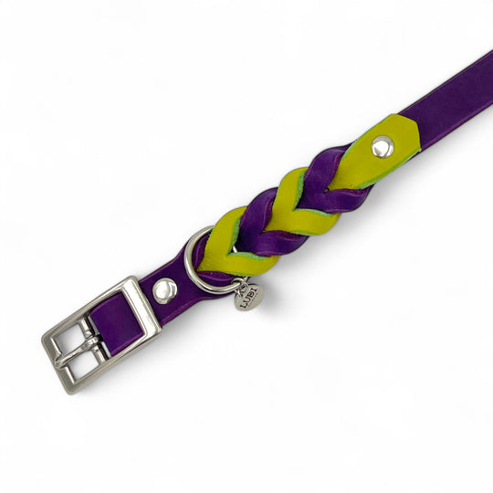 schönes und komfortables Halsband für Hunde in Leder, mit geflochtenem Detail, für jede Grösse, in lila und lime