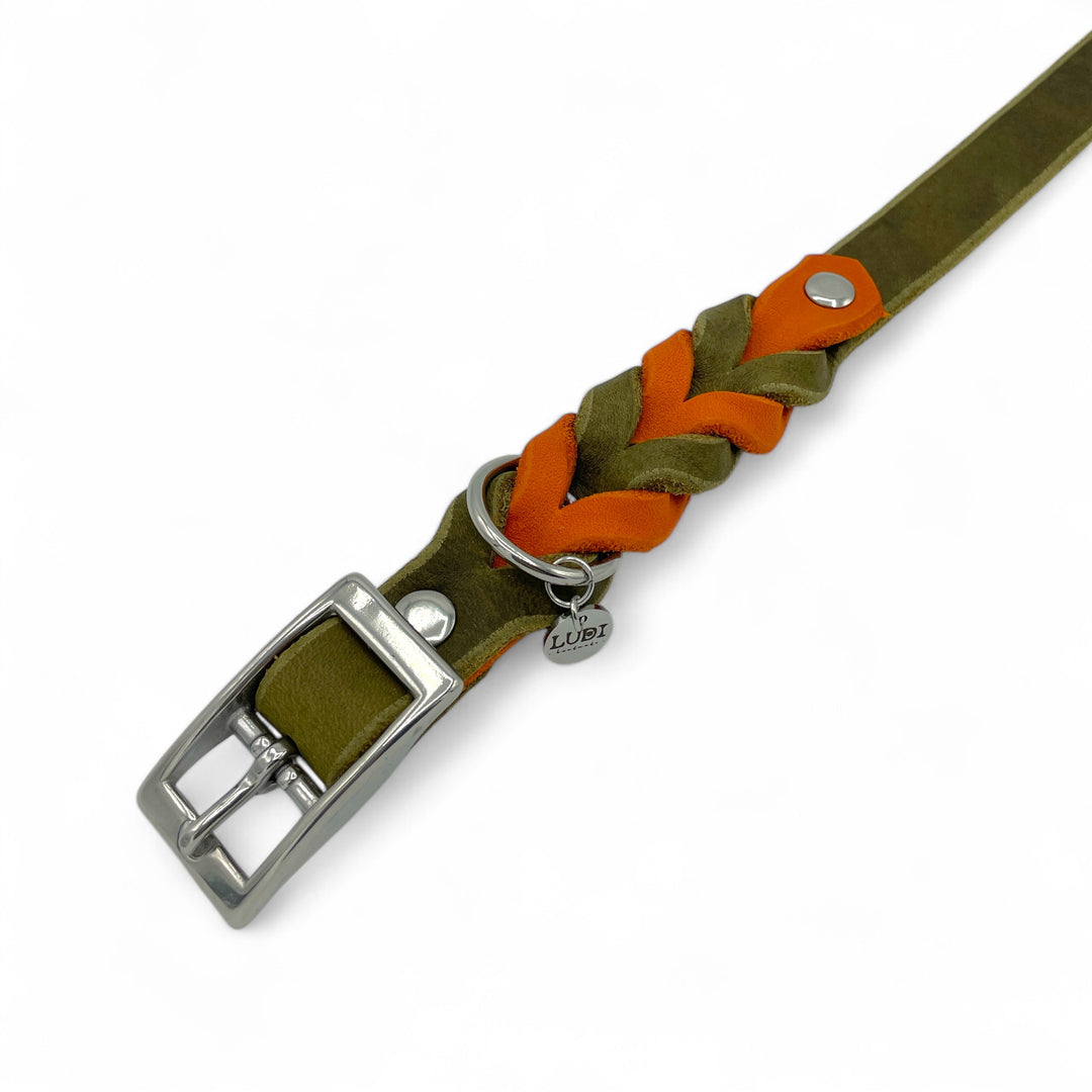 schönes und komfortables Halsband für Hunde in Leder, mit geflochtenem Detail, für jede Grösse, in Oliv und Orange