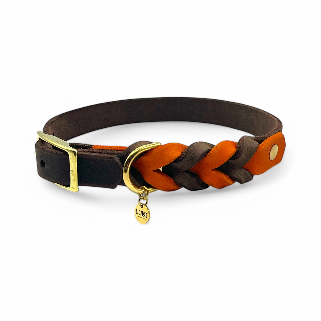 schönes und komfortables Halsband für Hunde in Leder, mit geflochtenem Detail, für jede Grösse, in orange und Braun butterweich