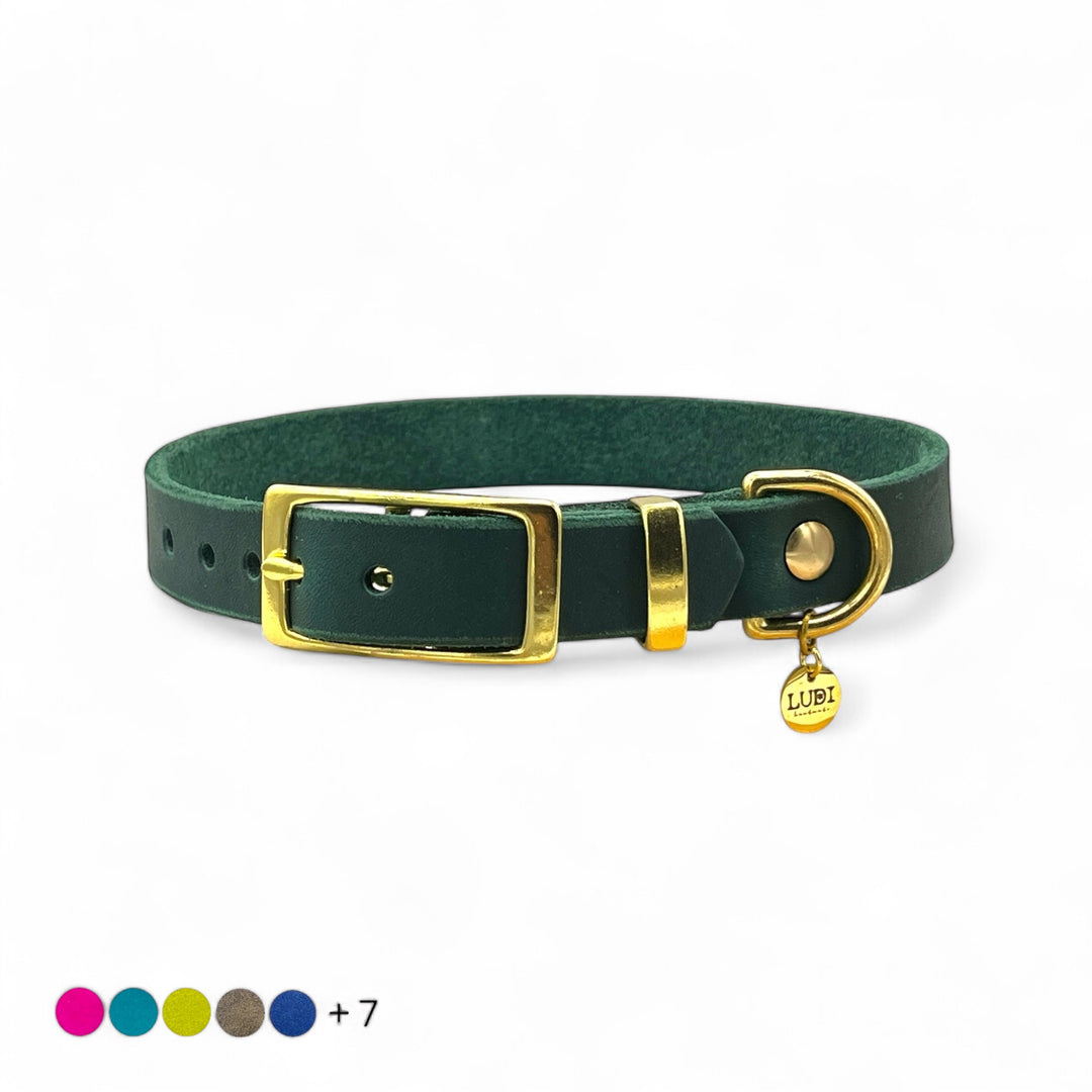 Hundehalsband aus Leder , ideal für kleine und große Hunde, butterweich und personalisiert mit Gravur, in grün, farbauswahl