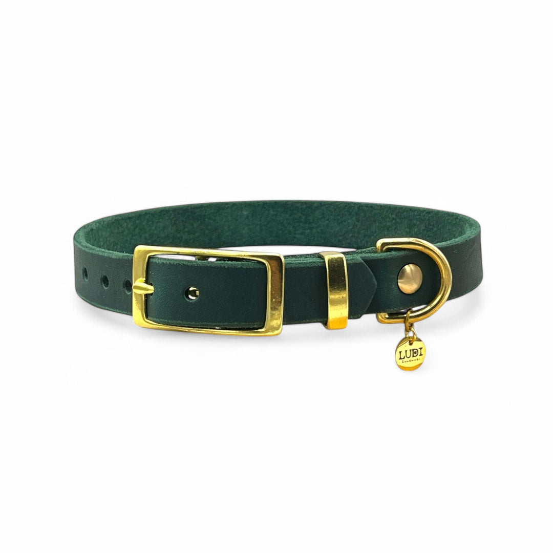 Hundehalsband aus Leder , ideal für kleine und große Hunde, butterweich und personalisiert mit Gravur, in grün