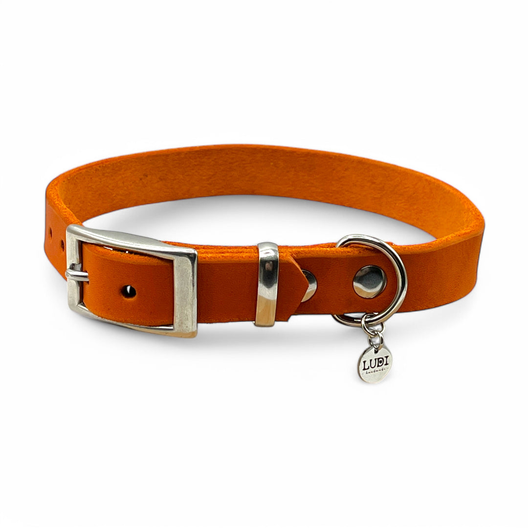 Hundehalsband aus Leder , ideal für kleine und große Hunde, butterweich und personalisiert mit Gravur, in orange