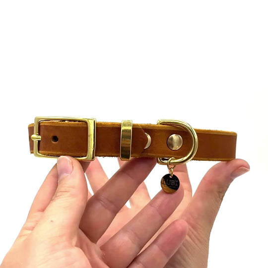Hundehalsband aus Leder , ideal für kleine und große Hunde, butterweich und personalisiert, in cognac, produktvideo