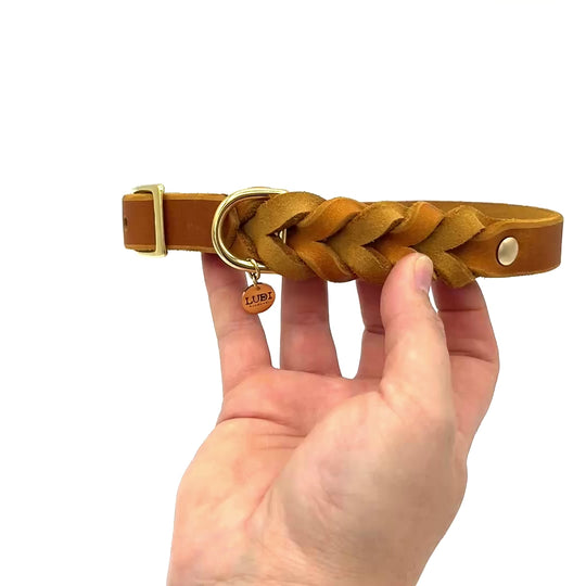 Leder Hundehalsband, ideal für kleine und große Hunde, geflochten und personalisiert, in cognac video