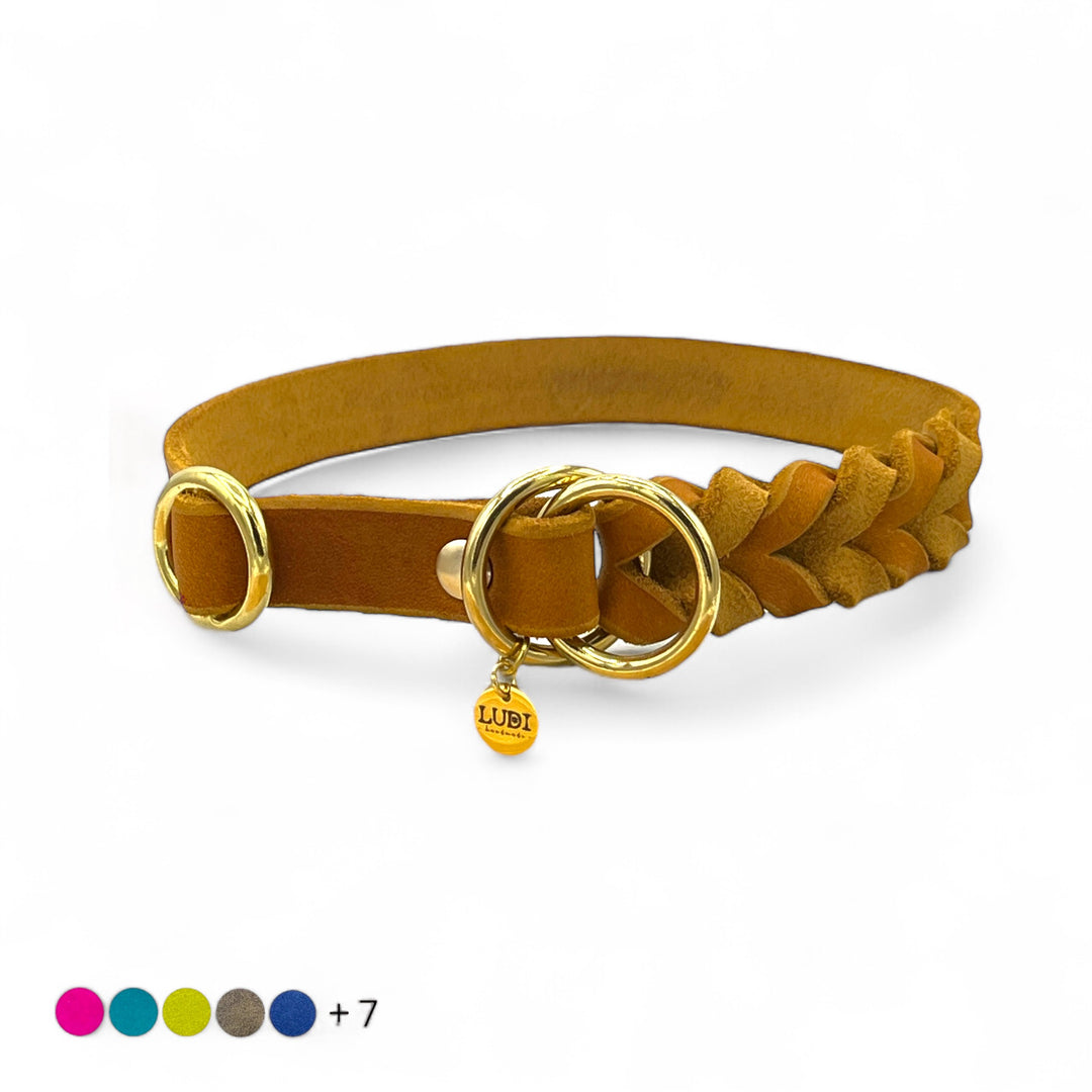 Handgefertigtes Zugstopp Halsband aus hochwertigem Fettleder in cognac, ideal für alle Hunde, personalisiert mit Namen und Telefonnummer, verschiedene Farben