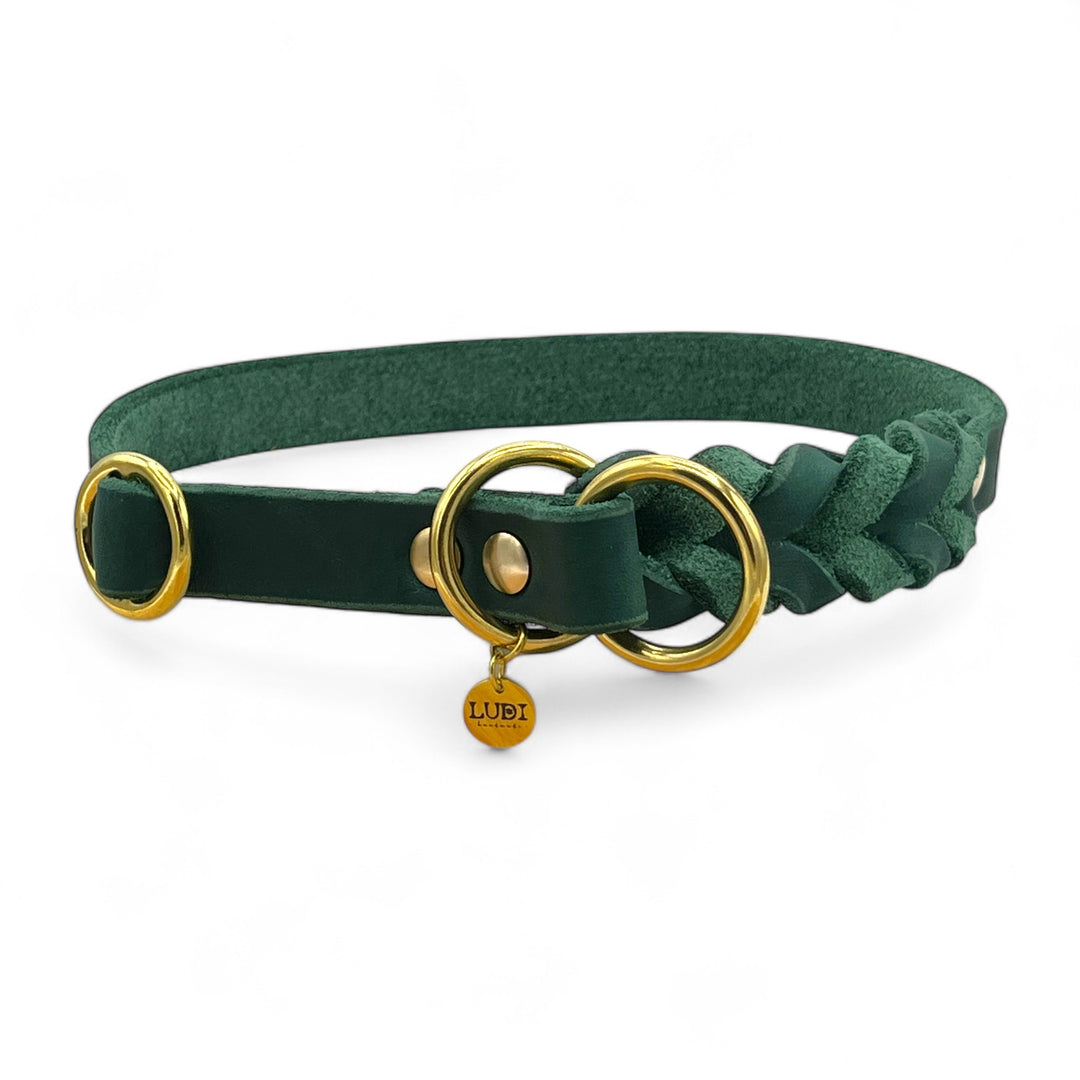Handgefertigtes Zugstopp Halsband aus hochwertigem Fettleder in grün, ideal für alle Hunde, personalisiert mit Namen und Telefonnummer