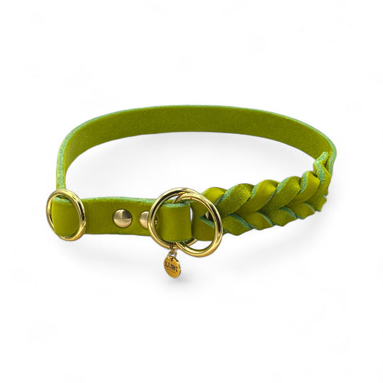 Handgefertigtes Zugstopp Halsband aus hochwertigem Fettleder in lime, ideal für alle Hunde, personalisiert mit Namen und Telefonnummer