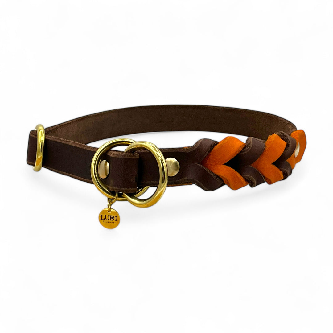 Zugstopp Halsband aus hochwertigem Fettleder, in braun und orange, ideal für kleine und grosse Hunde, personalisiert mit Namen und Telefonnummer Gravur