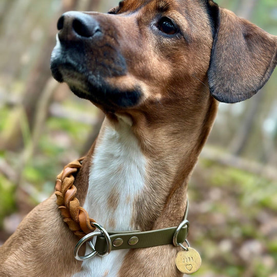 Zugstopp Halsband aus Biothane mit eingeflochtenem Leder, wasserfest und robust, handgefertigt für Hunde, cognac und oliv bild