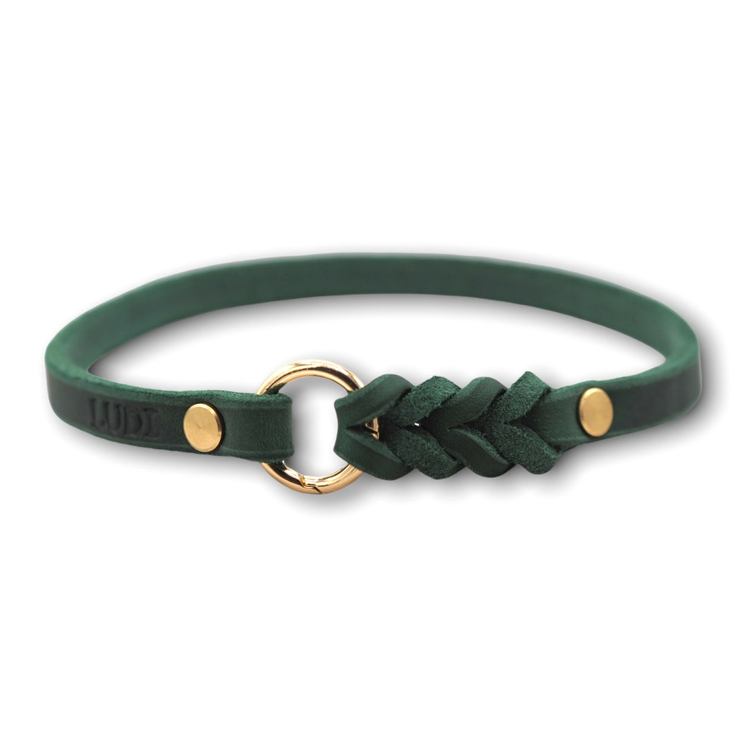 schmales Hundehalsband, ideal für Hundemarken, handgefertigt aus robustem Leder in Tannengrün, personalisierbar