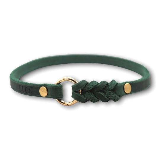 schmales Hundehalsband, ideal für Hundemarken, handgefertigt aus robustem Leder in Tannengrün, personalisierbar