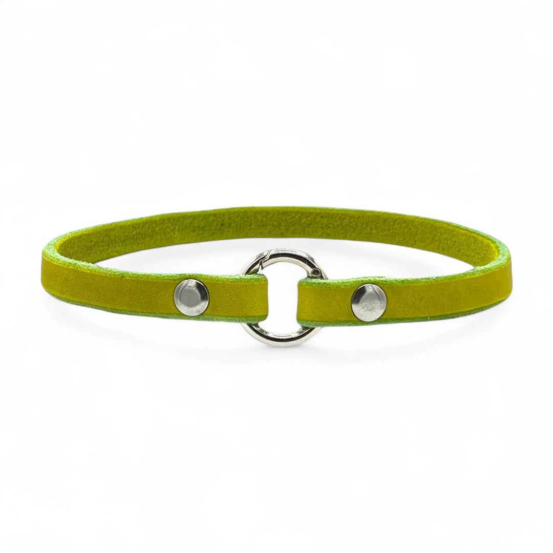 Halsband für Hundemarken „Classic“