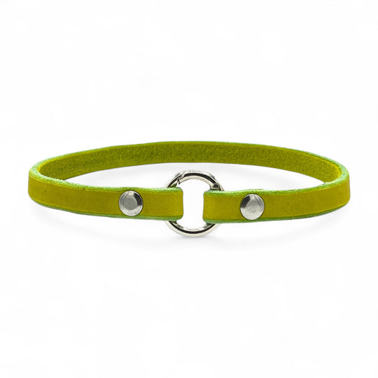 Halsband für Hundemarken „Classic“