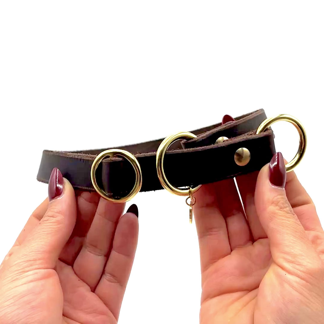 Personalisiertes Zugstopp Halsband aus Fettleder braun für Hunde video