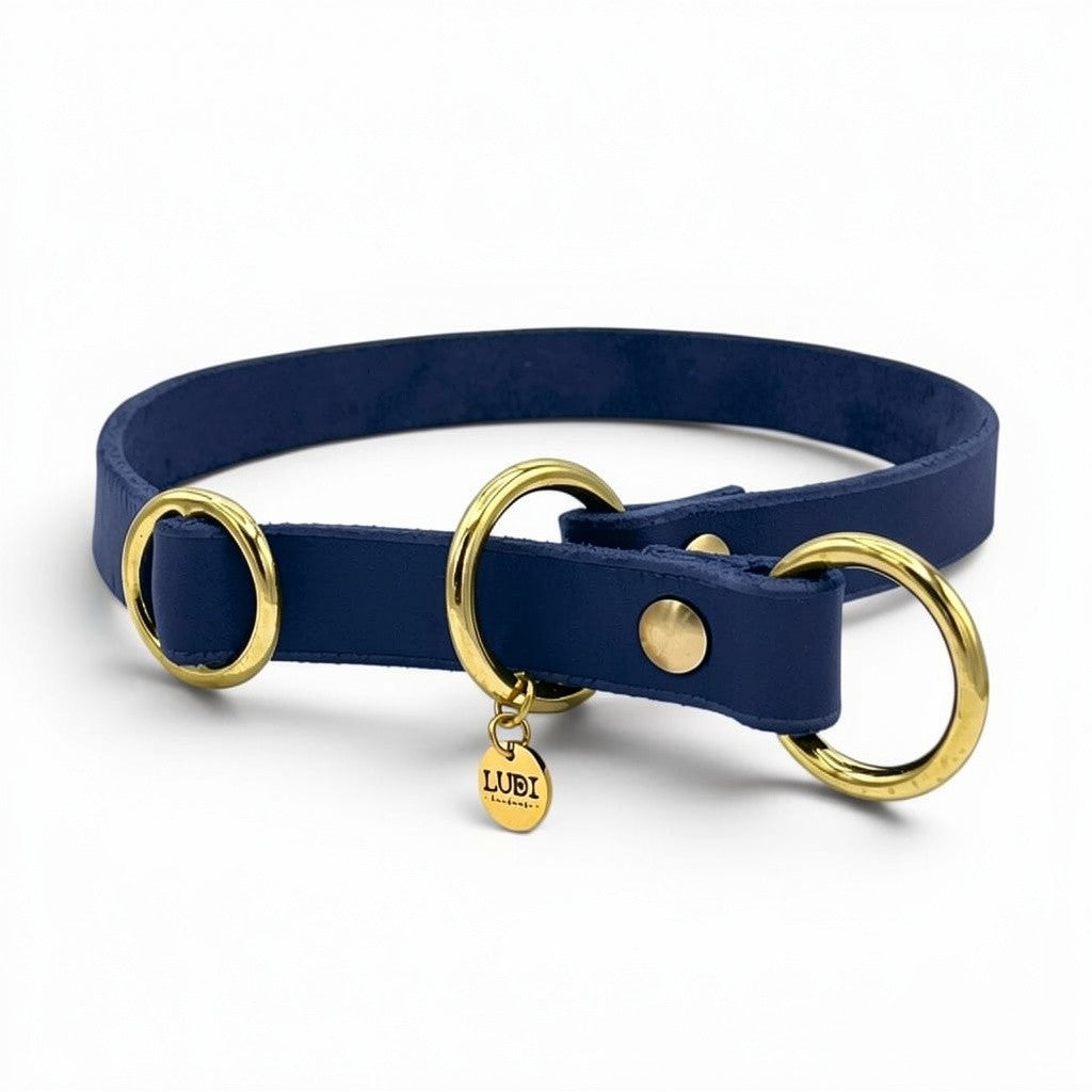 Personalisiertes Zugstopp Halsband aus blauem Fettleder für Hunde