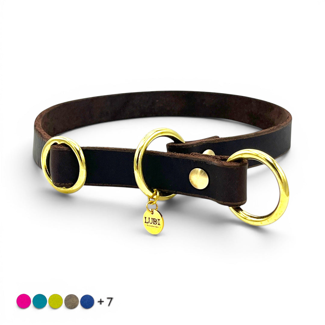 Personalisiertes Zugstopp Halsband aus Fettleder braun für Hunde verschiedene Farben