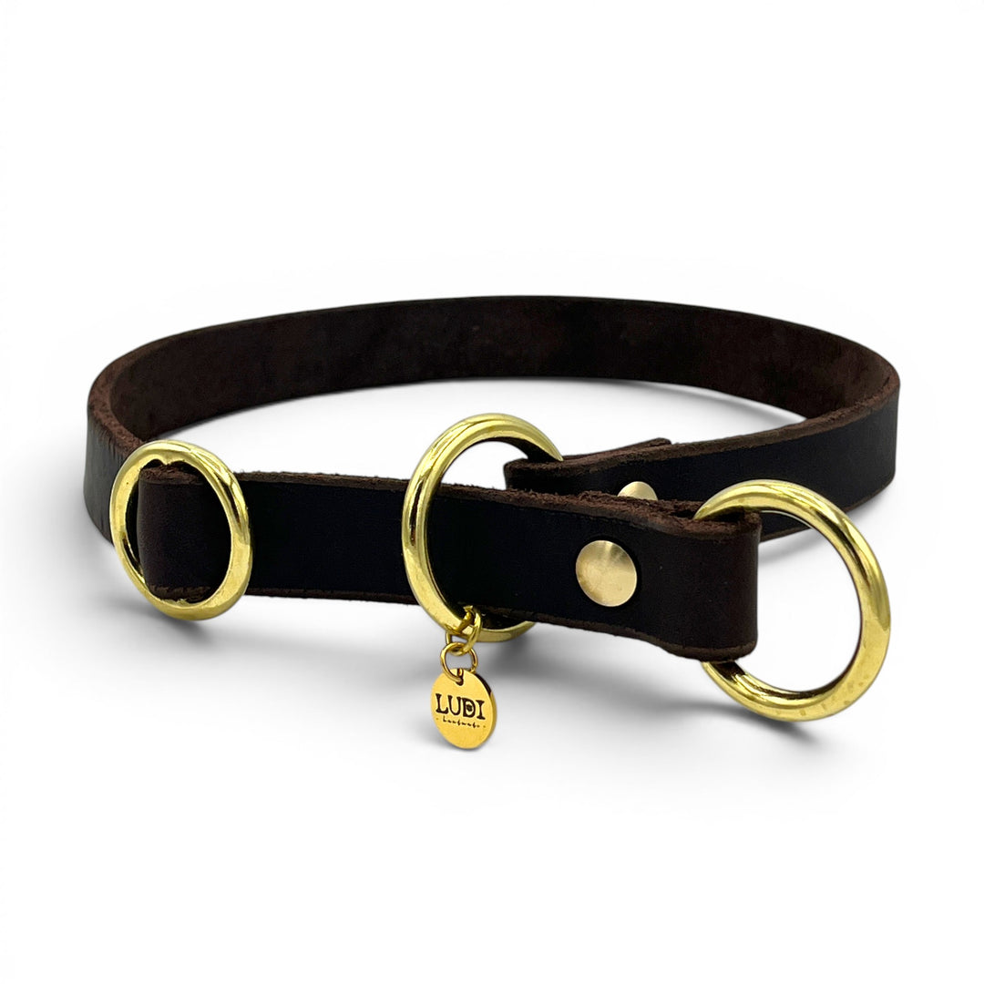 Personalisiertes Zugstopp Halsband aus Fettleder braun  für Hunde