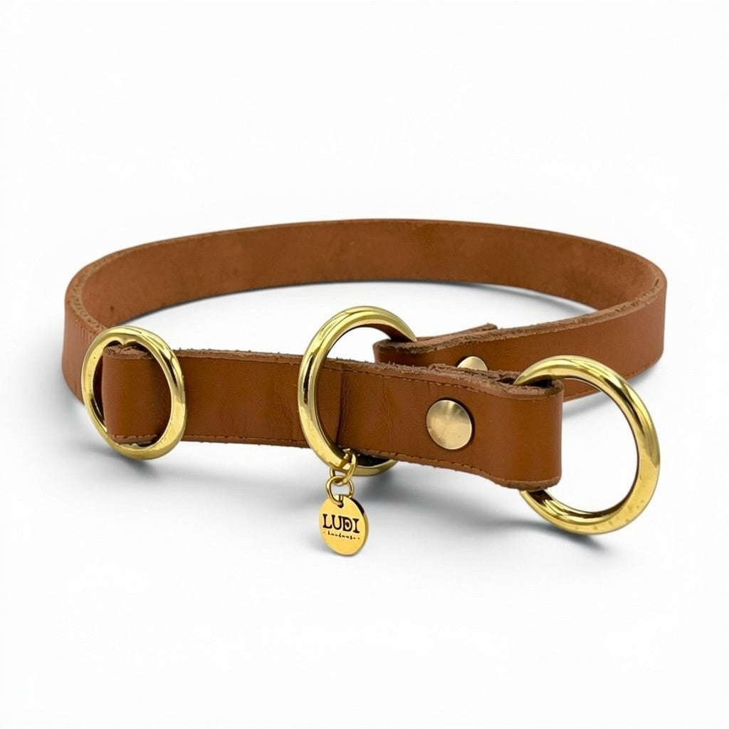 Personalisiertes Zugstopp Halsband aus Fettleder cognac für Hunde