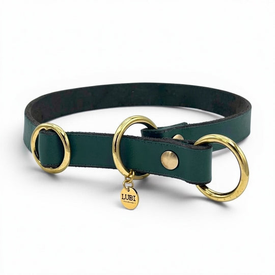 Personalisiertes Zugstopp Halsband aus grünem Fettleder für Hunde