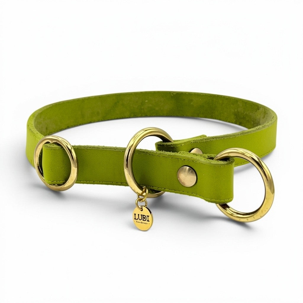 Personalisiertes Zugstopp Halsband aus Fettleder lime für Hunde