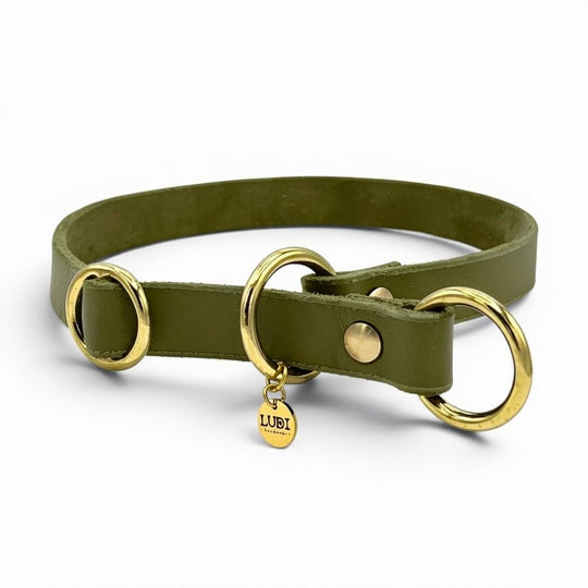 Personalisiertes Zugstopp Halsband aus Fettleder oliv für Hunde