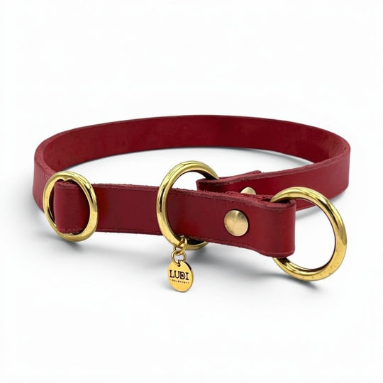 Personalisiertes Zugstopp Halsband aus rotem Fettleder für Hunde