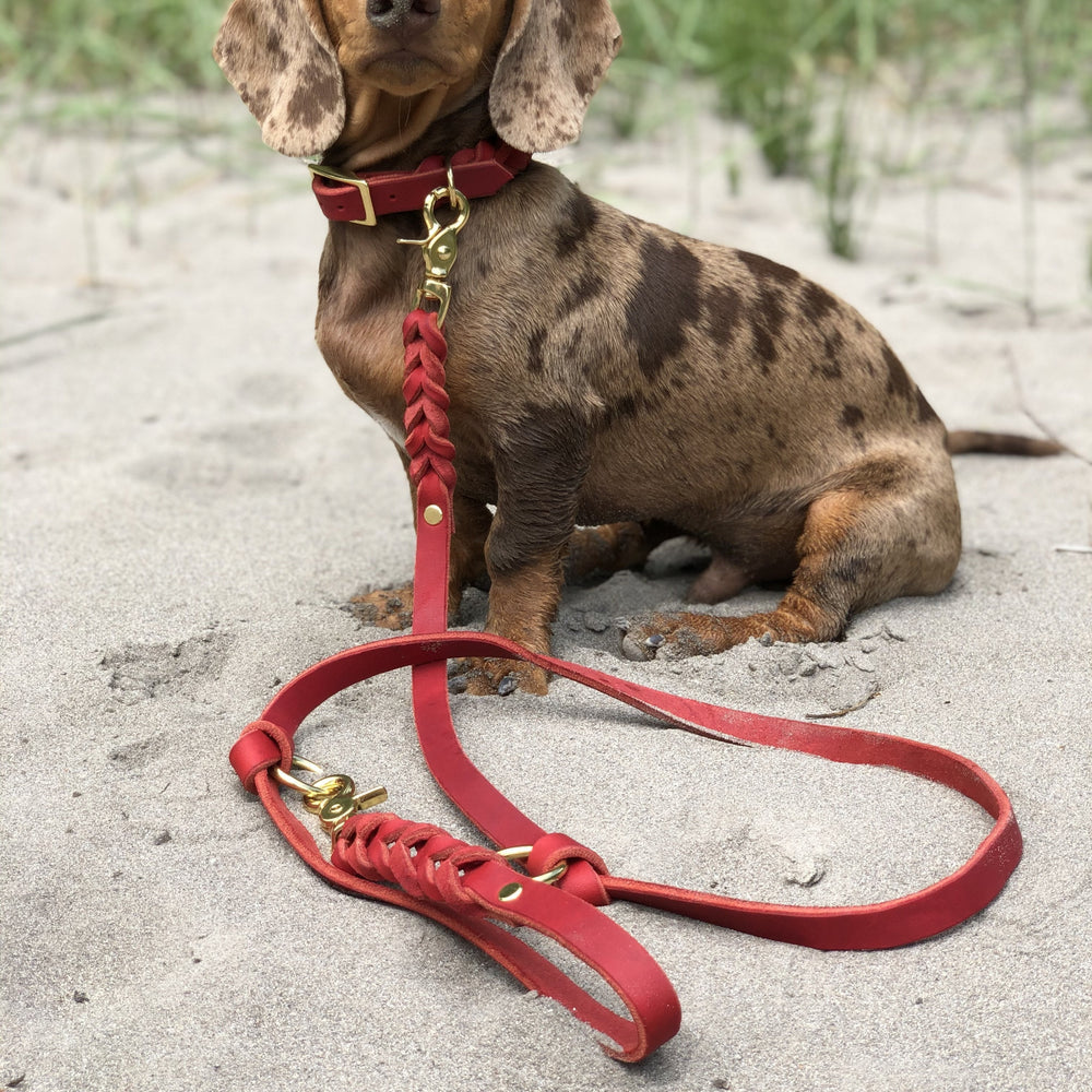 stabile handgefertigte Hunde Lederleine mit massiven Beschlägen, für große und kleine Hunde, robust und langlebig in rot dackel