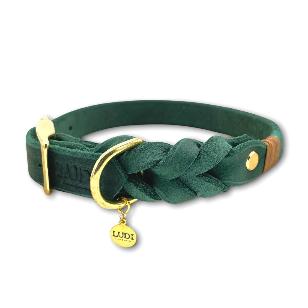 Schönes und schickes und Halsband aus Leder, handgefertigt und robust, in grün