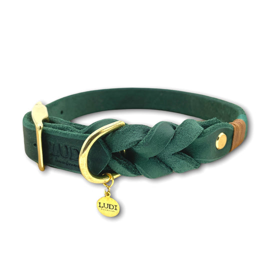 Schönes und schickes und Halsband aus Leder, handgefertigt und robust, in grün